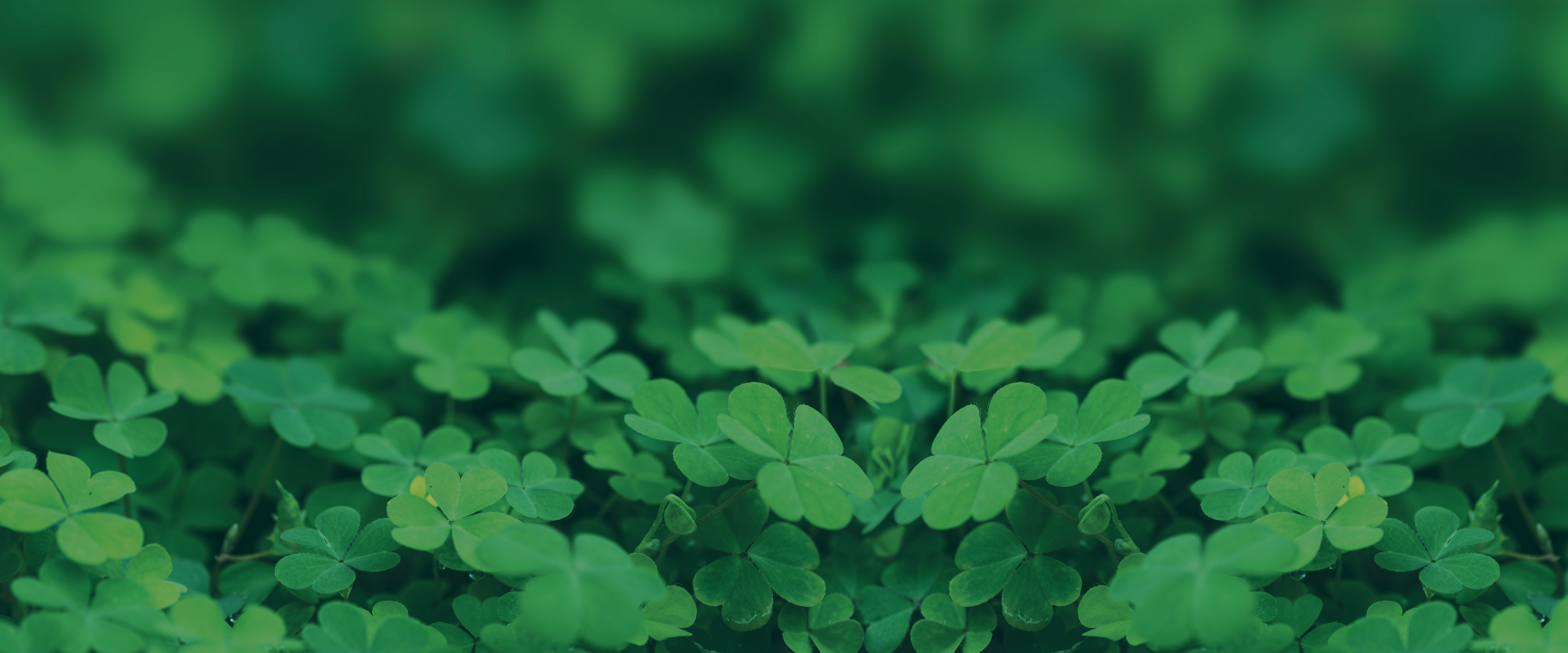 The entire Industriehof team wishes you all the best and a successful and healthy 2026.