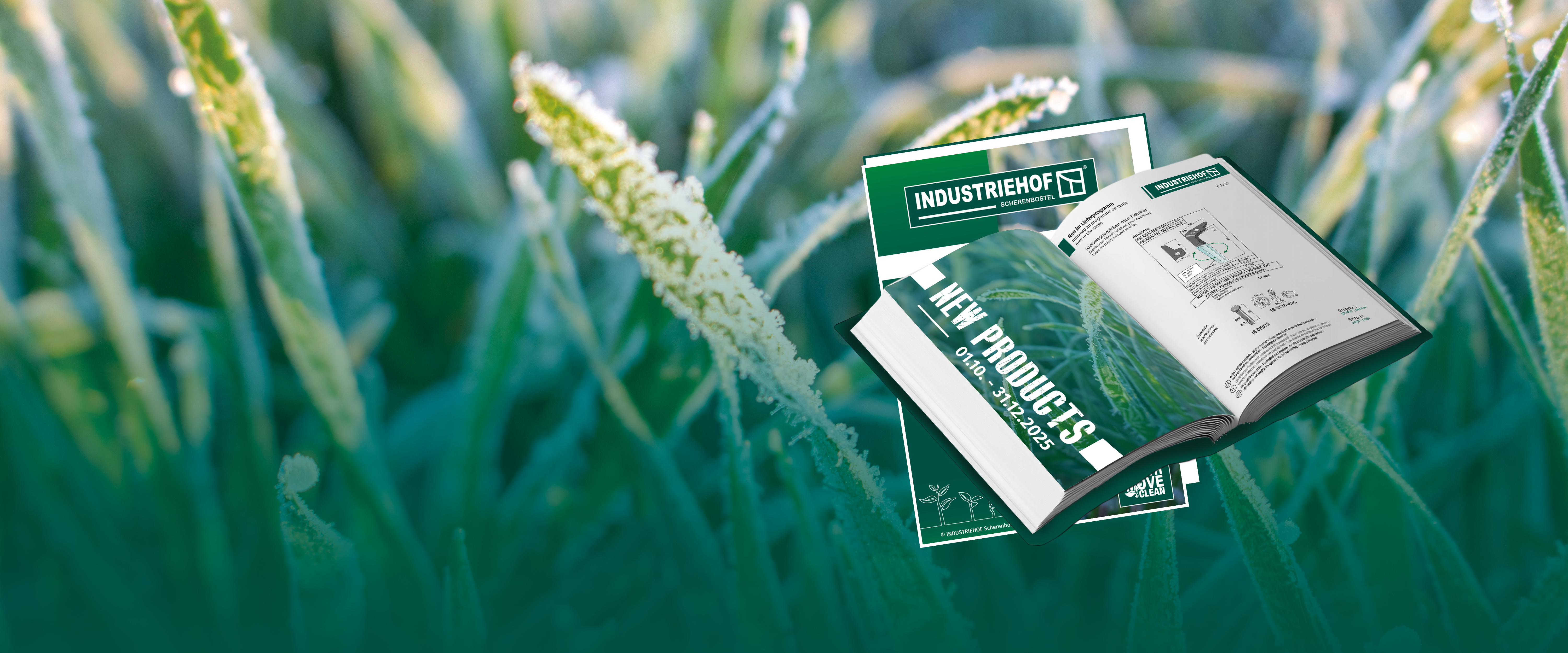 Come and discover what′s new