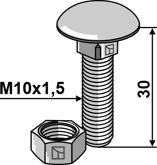 Flachrundschraube M10x1,5x30 verzinkt mit Mutter