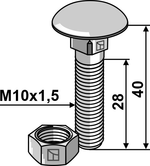 Flachrundschraube M10x1,5x40 verzinkt mit Mutter