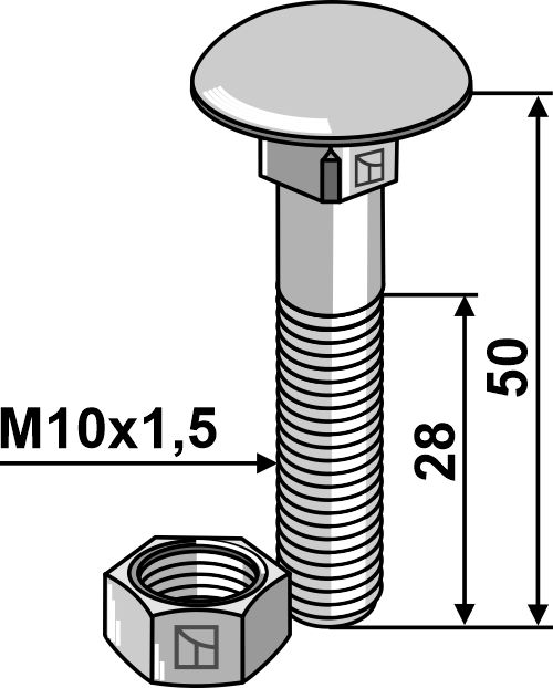 Flachrundschraube M10 verzinkt mit Mutter