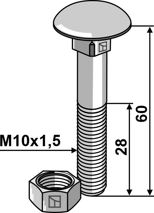 Flachrundschraube M10x1,5x60 verzinkt mit Mutter