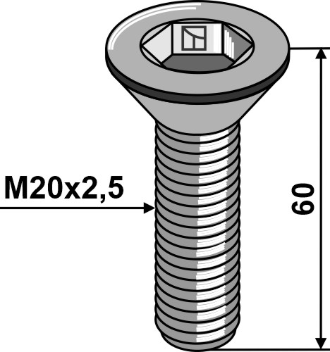 Винты с потайной головкой с внутренним шестигранником - M20x2,5