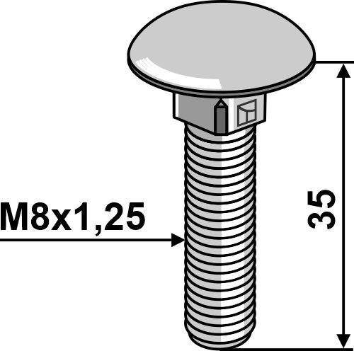 Śruby z łbem grzybkowym, galwanicznie ocynkowane - M8x1,25