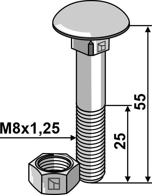 Flachrundschraube M8x1,25x55 verzinkt mit Mutter