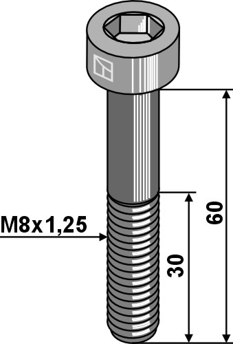 Inbusbout M8x1,25x60 - Verzinkt